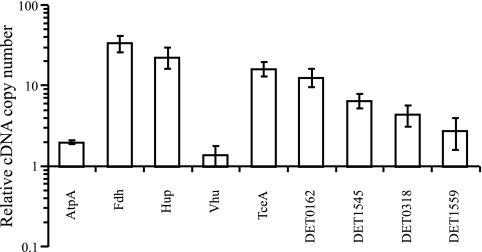 FIG. 2.