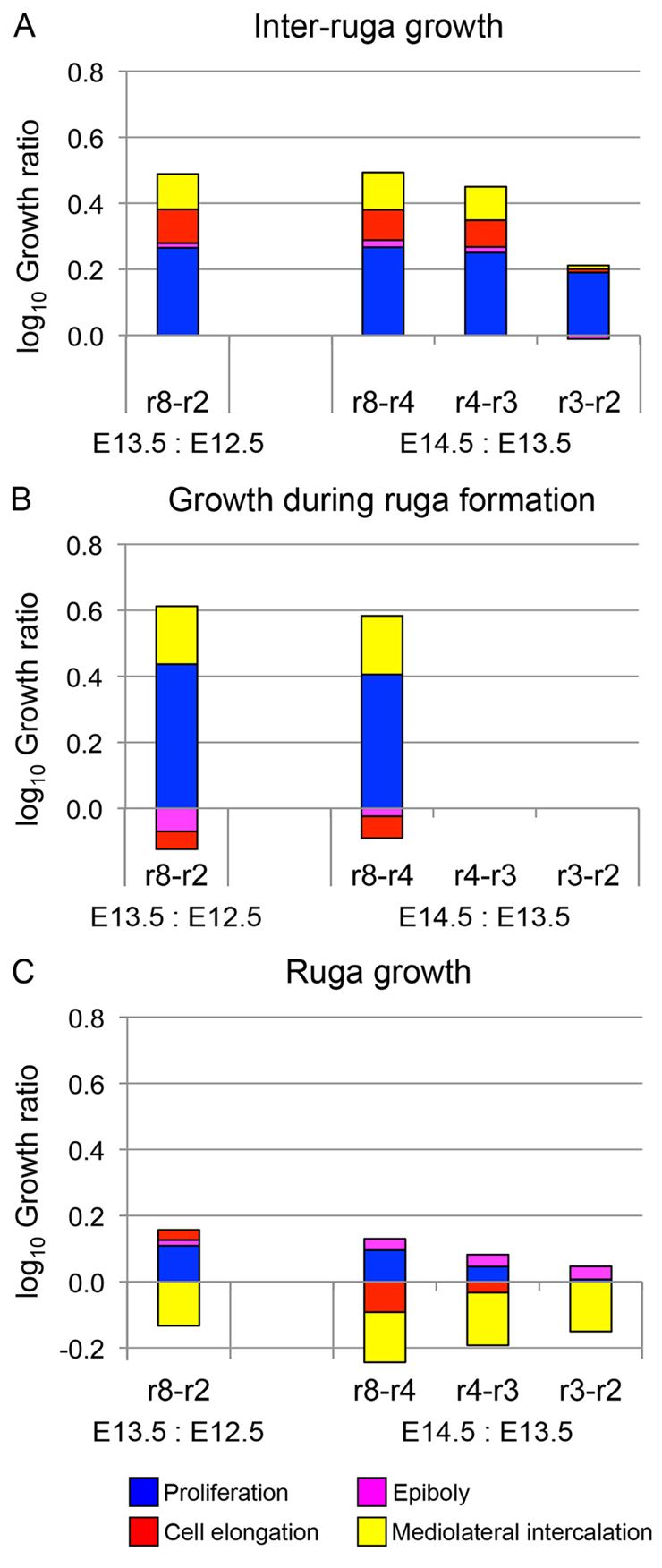 Fig. 8.