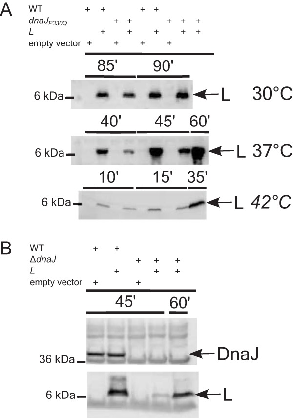 FIG 6