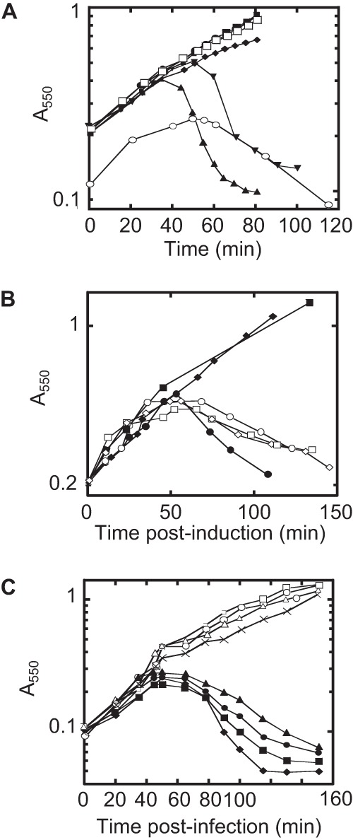 FIG 2