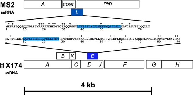 FIG 1