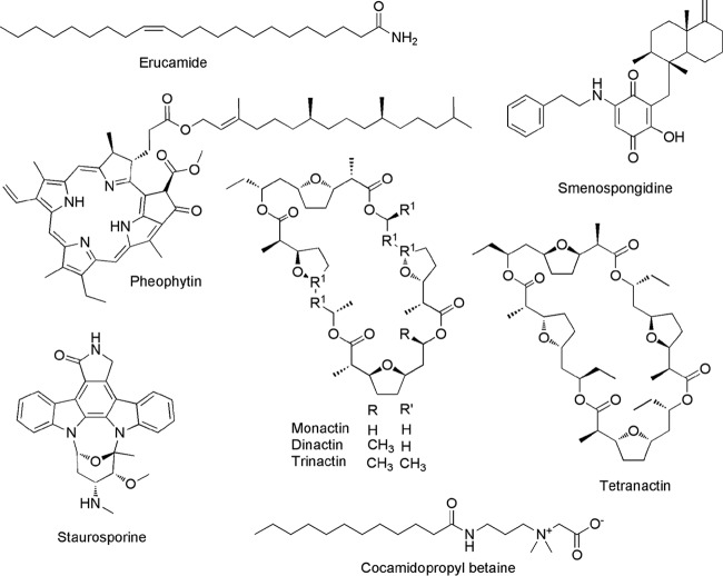 FIG 2