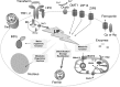 <b>FIG. 2.</b>