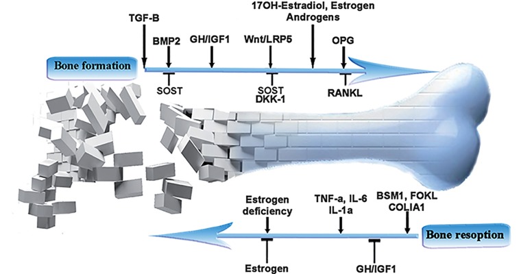 Fig.1