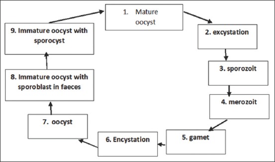 Figure-3