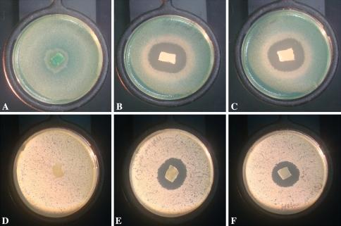 Fig. 3A–F