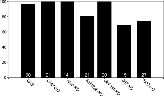 Figure 4—figure supplement 2.