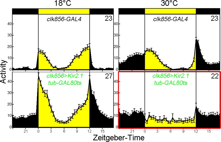 Figure 1—figure supplement 1.