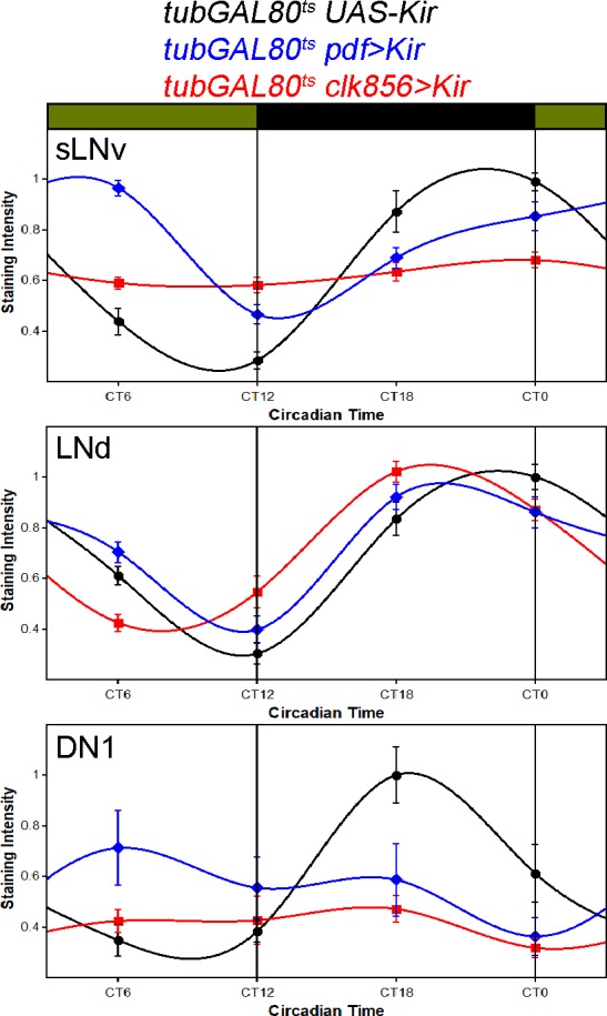 Figure 2—figure supplement 2.