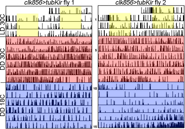 Figure 2—figure supplement 3.