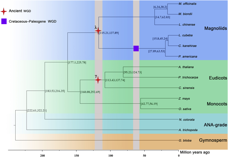 Figure 4