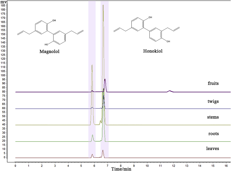 Figure 5