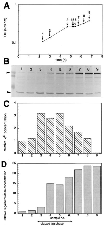 FIG. 1