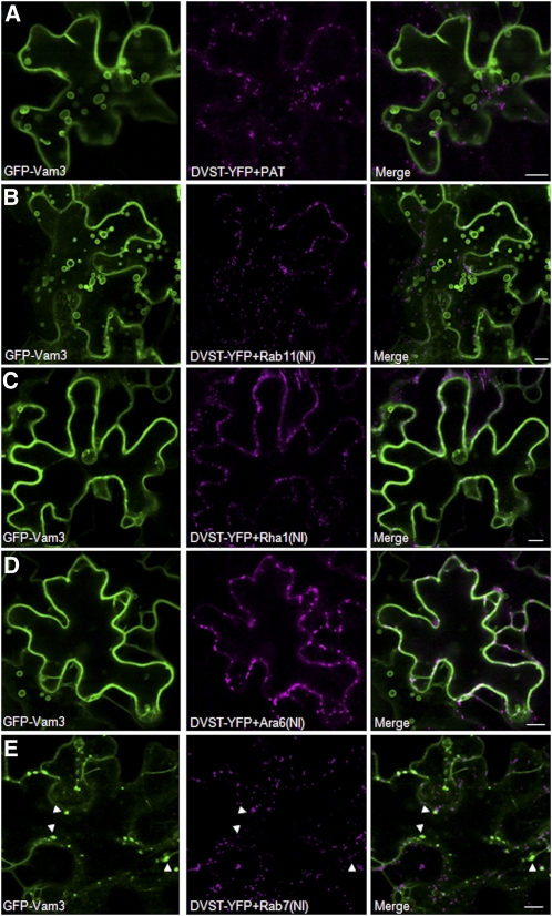 Figure 6.