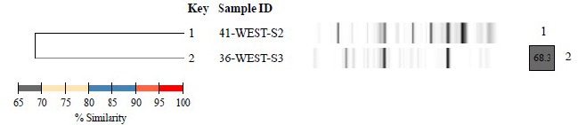 Supplementary material 14