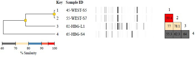 Supplementary material 13