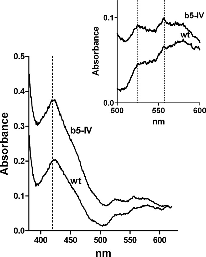 FIG 6