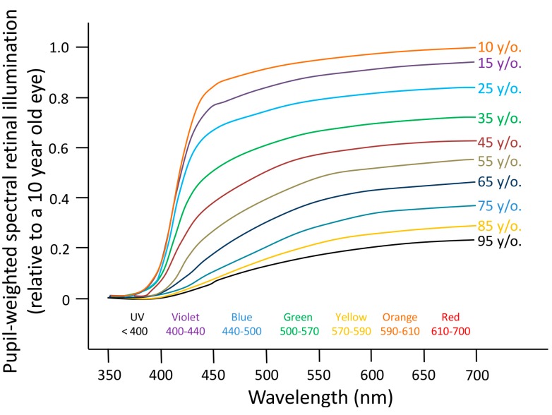 Figure 7