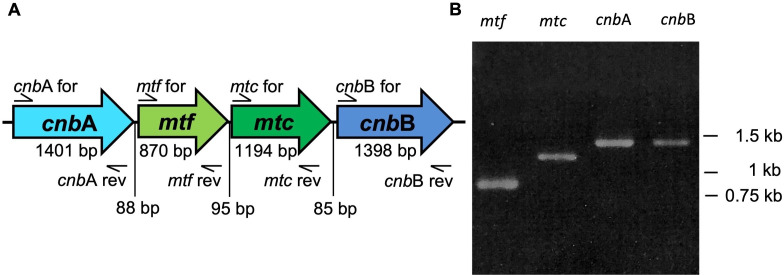 FIG 1