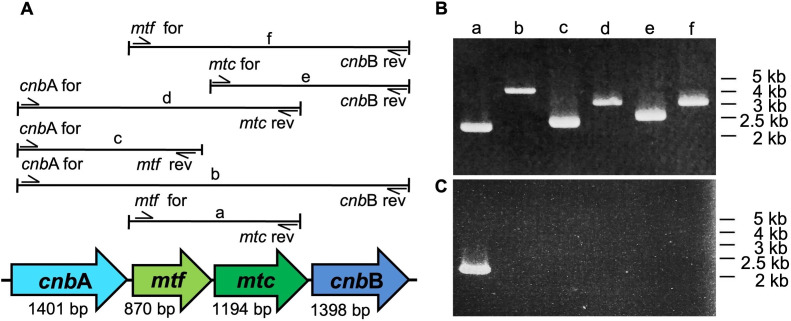 FIG 2