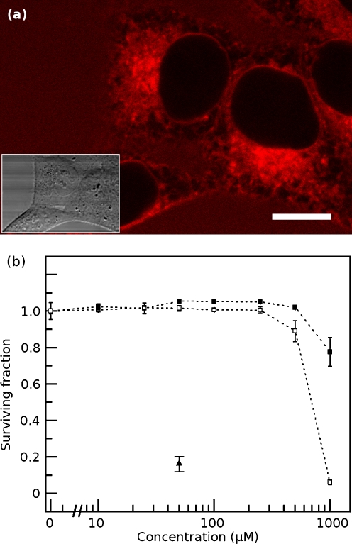 Fig. 2