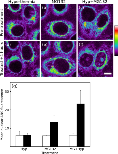 Fig. 6