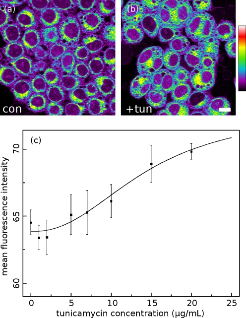 Fig. 7