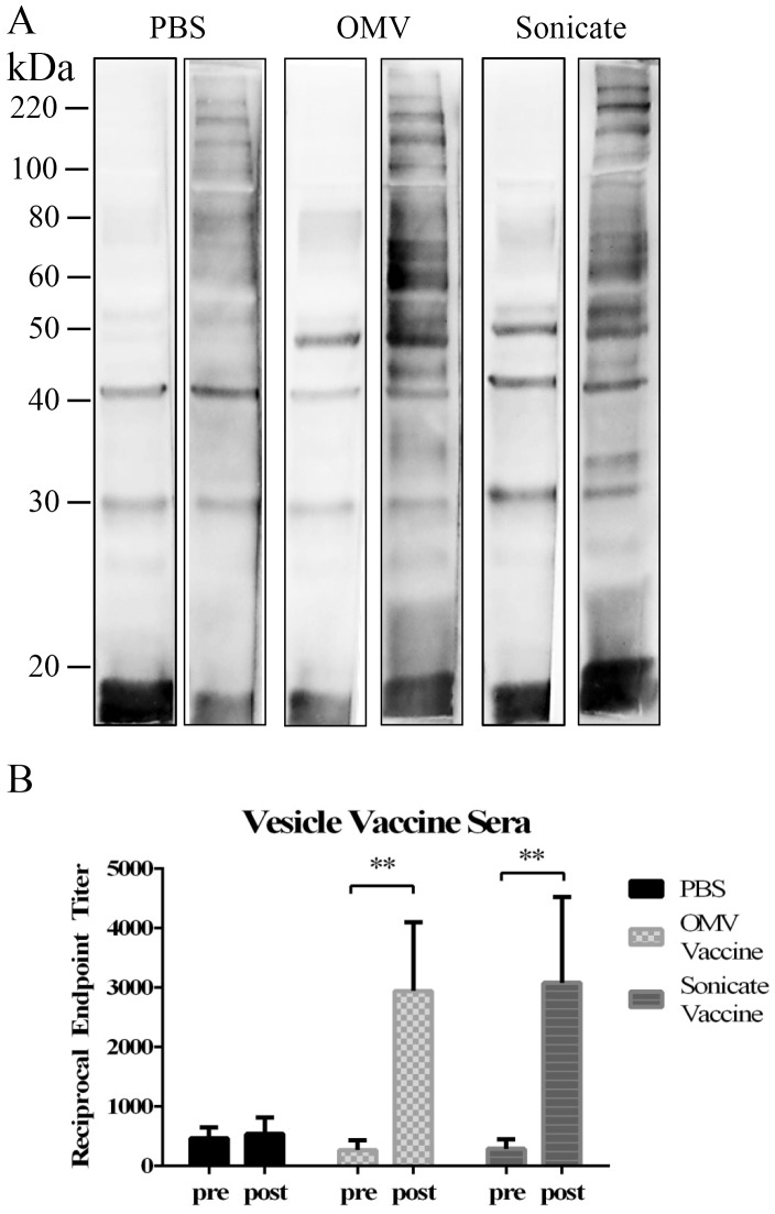 Fig 8