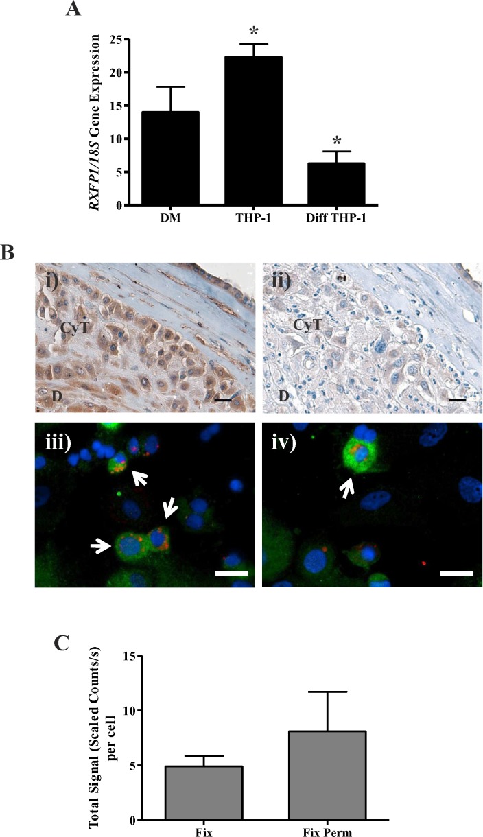 FIG. 3.