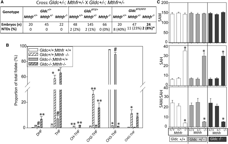 Figure 6