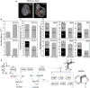 Figure 5