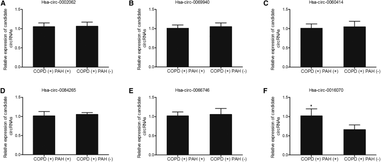 Figure 1