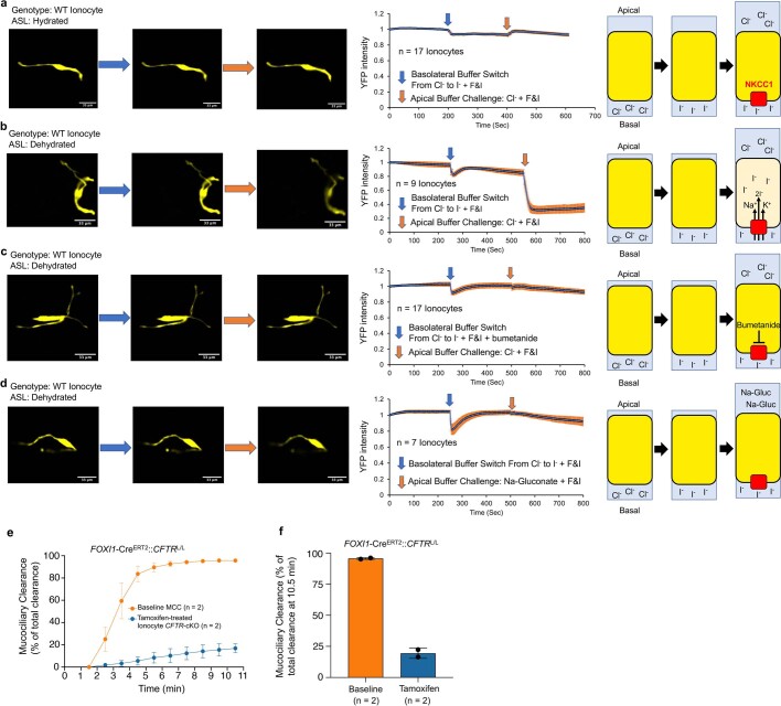 Extended Data Fig. 3