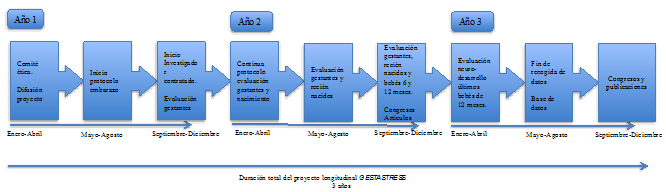 Figura 2