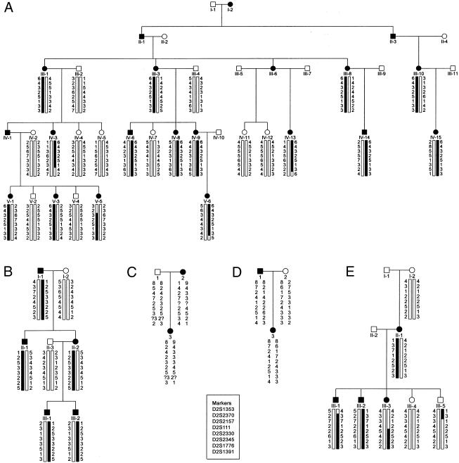 Figure  1