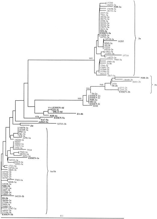 FIG. 5.