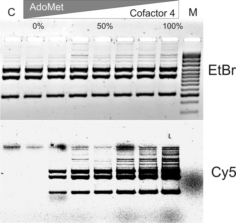 Figure 4.