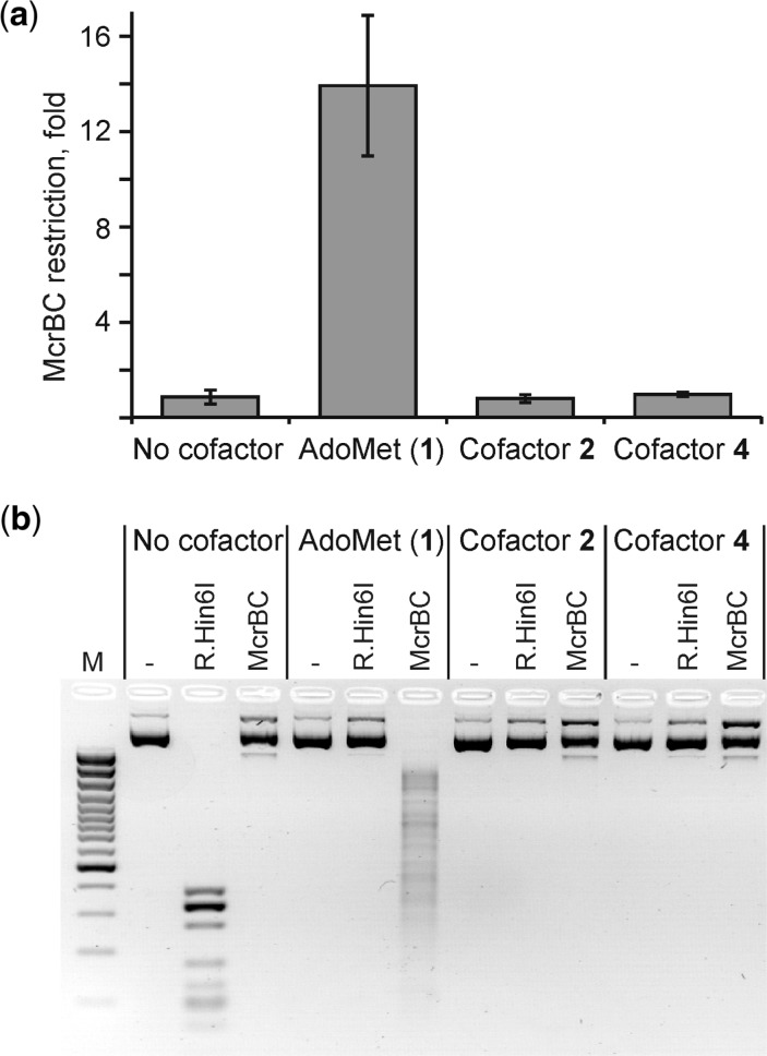 Figure 5.