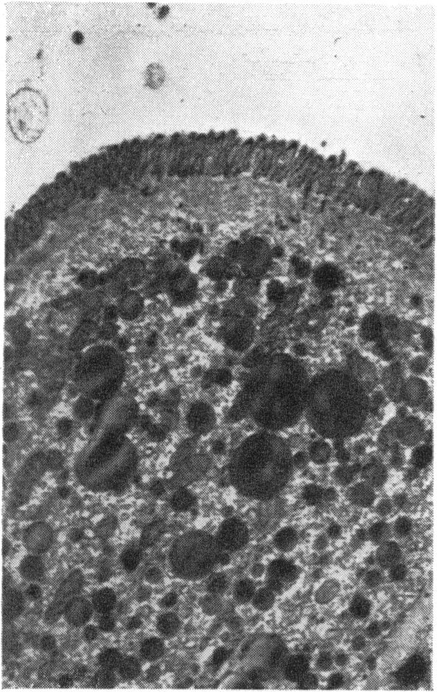 FIG. 8