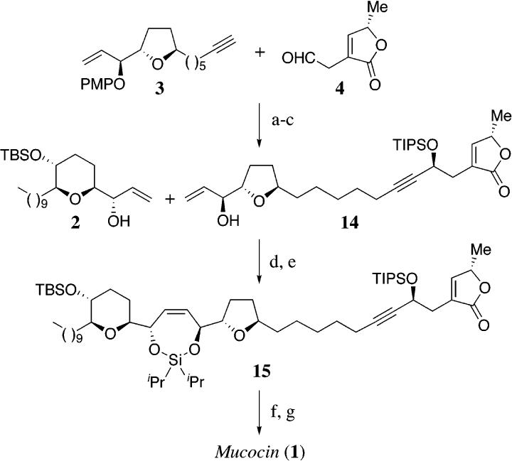 Scheme 5a