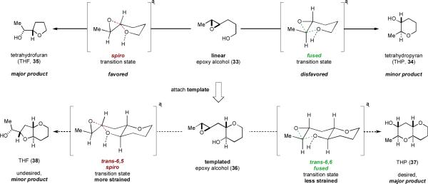 Scheme 6