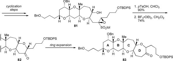 Scheme 17