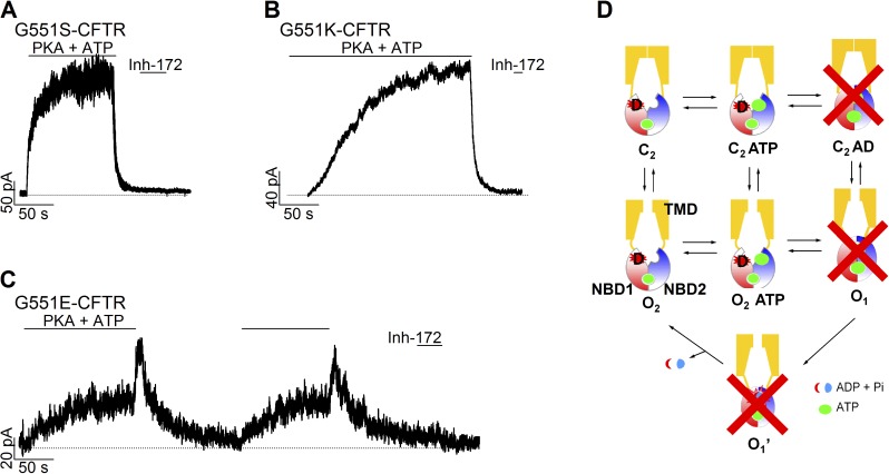 Figure 6.