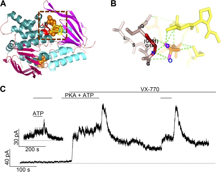 Figure 1.