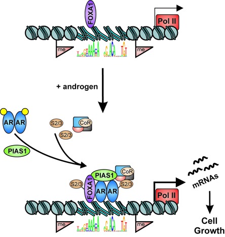 Figure 9.