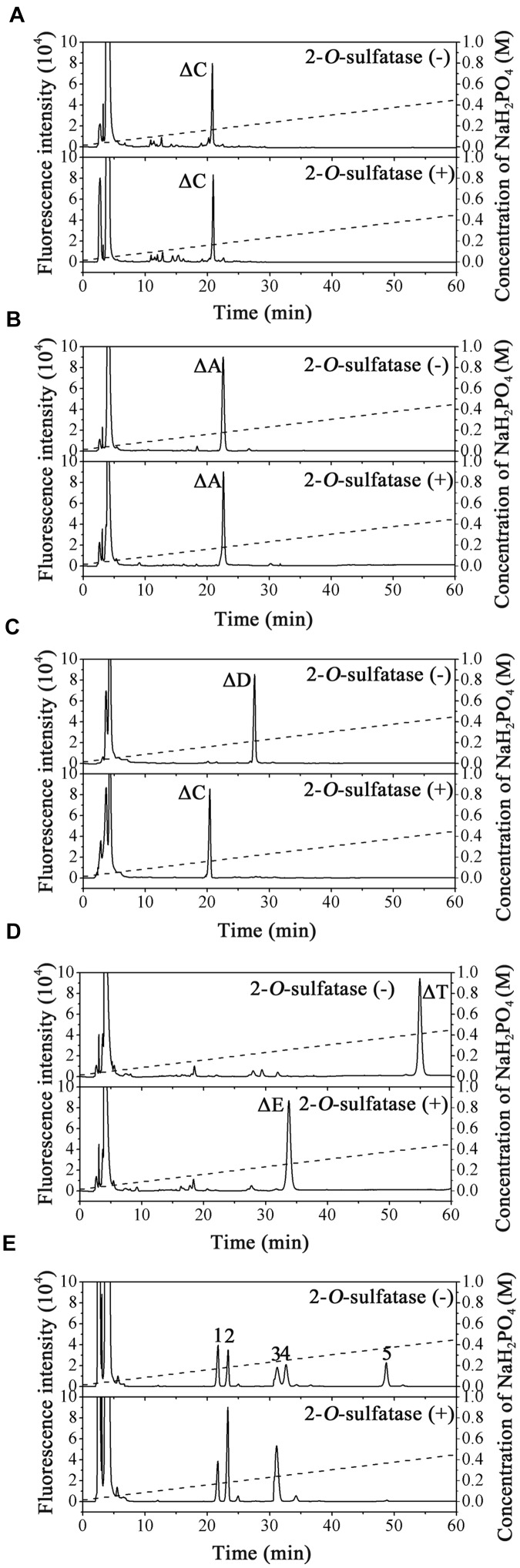 FIGURE 3