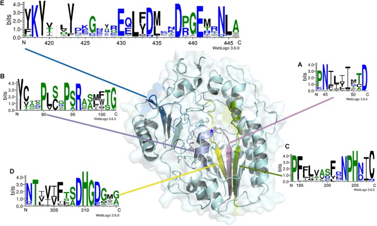 FIGURE 9