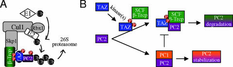 FIG. 8.