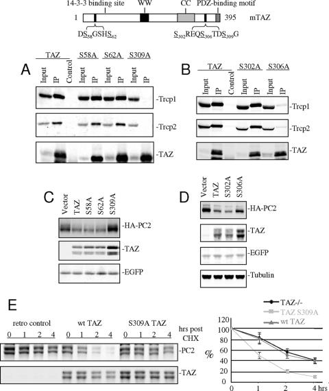 FIG. 7.