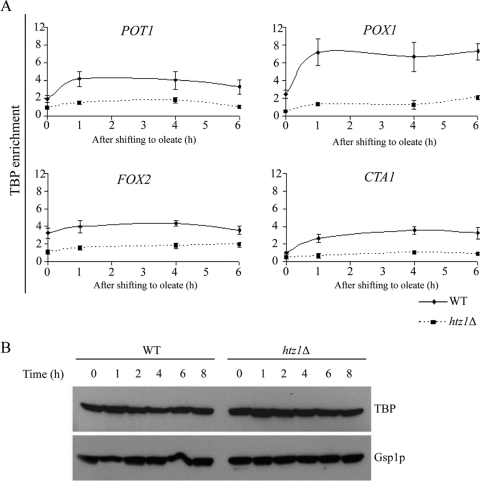 FIG. 6.